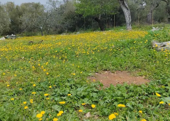 Loukia's House Σκάλα Καλλιράχης