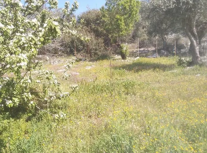 Loukia's House Σπίτι διακοπών