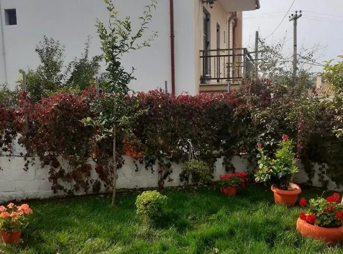 Loukia's House * Σκάλα Καλλιράχης