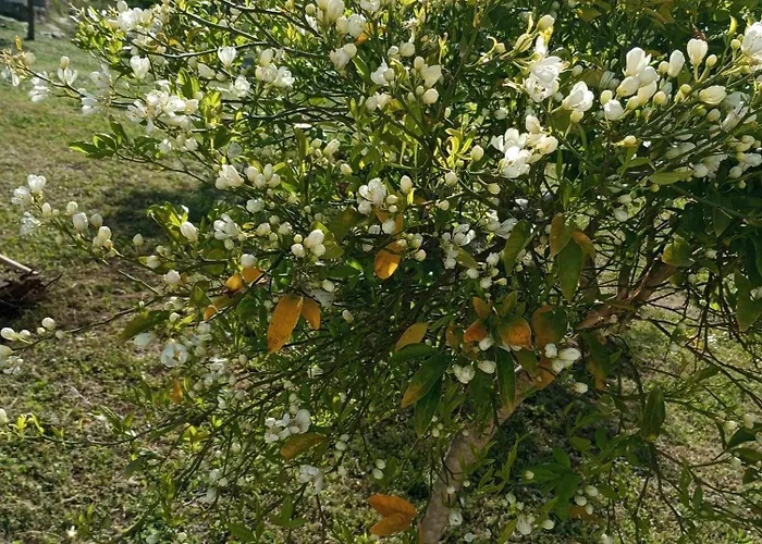 Loukia's House Hébergement de vacances